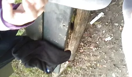 Касандра секс видео безплатно Никс и Шина Покажи L. яде